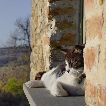 마지오네 Podere Paradiso 빌라 외부 사진