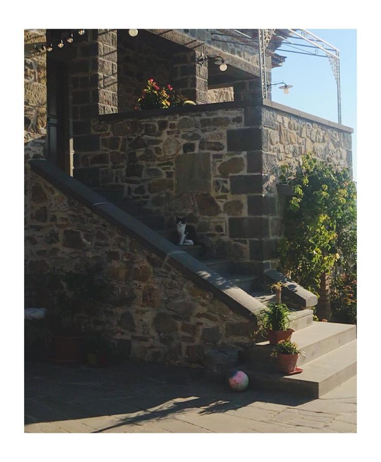 마지오네 Podere Paradiso 빌라 외부 사진