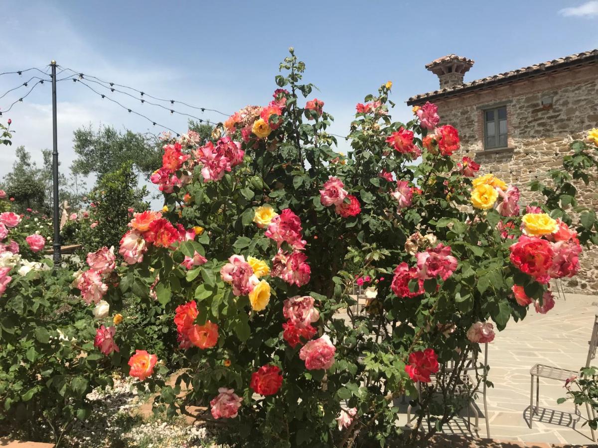 마지오네 Podere Paradiso 빌라 외부 사진