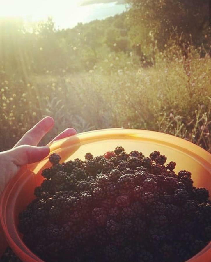 마지오네 Podere Paradiso 빌라 외부 사진