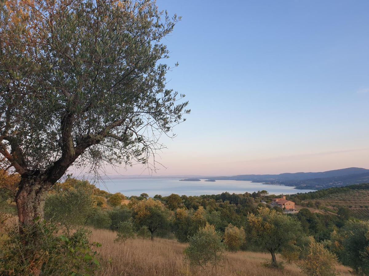 마지오네 Podere Paradiso 빌라 외부 사진